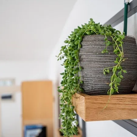 Ferienhaus-am-walnussbaum بيت للعطل *