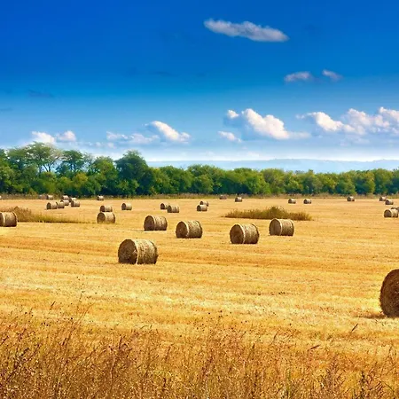 بيت للعطل Ferienhaus-am-walnussbaum *